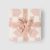 Dusty Rose Multi
