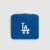 Dodgers Multi