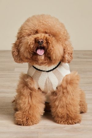 CozyChic® Cotton Classic Stripe Pet Sweater